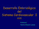 Desarrollo Embriológico del Sistema Cardiovascular I