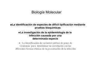 Presentación de PowerPoint