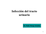 infección del tracto urinario (itu) - medicina