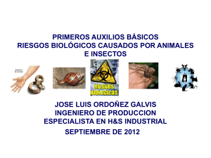 primeros auxilios básicos riesgos biológicos causados por animales