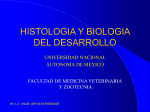 Introducci—n curso Histolog`a