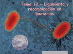 Tema 6: Recombinación en bacterias y virus
