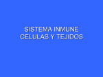sistema inmune 2