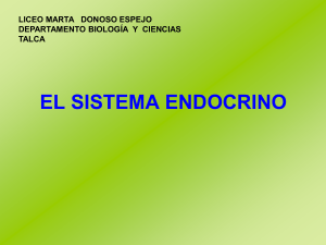 sistema endocrino - Liceo Marta Donoso Espejo
