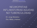 Neumopatias inflamatorias agudas no tuberculosas