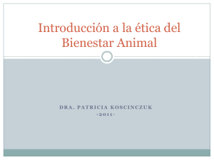 Introducción a la ética del Bienestar Animal