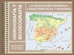 Diversidad biogeográfica Archivo