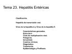 Hepatitis Entéricas