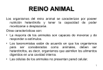 REINO ANIMAL1