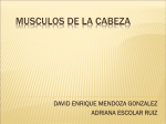 Diapositiva 1 - Odonto Mendoza