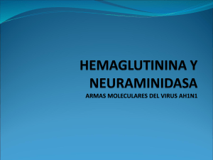 hemaglutinina y neuraminidasa armas moleculares del virus ah1n1