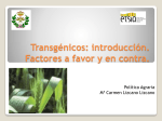 1- introduccion_transgenicos_mc_lizcano