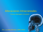 N412-AltIntracraneales