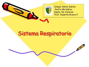 Sistema Respiratorio - Colegio Santa Sabina