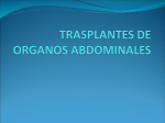 Transplante de Órganos Abdominales