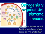 Ontogenia y organos del sistema inmunológico
