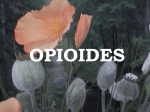 Opioides