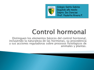 control hormonal, 2do medio