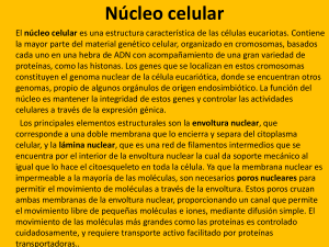 Diapositiva 1 - Aula Virtual FCEQyN