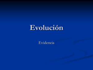 Evolución - prof.usb.ve.