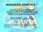 ingeniería genética - biotecnologia2010tls