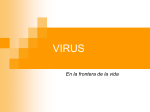 virus - biologiacervantes