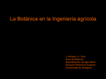 05.Ingenieria_Agricola
