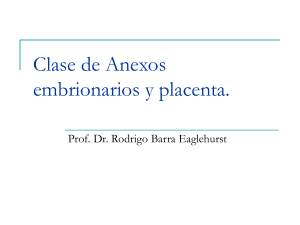 Clase de Anexos embrionarios y placenta.