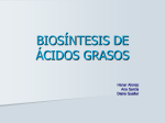 Biosíntesis de Ácidos Grasos