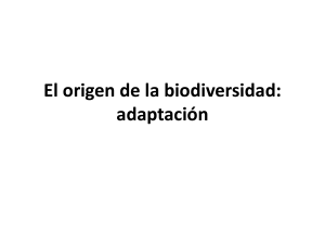 3._el_origen_de_la_biodiversidad.adaptaciones
