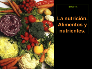 1. La nutrición. Alimentos y nutrientes