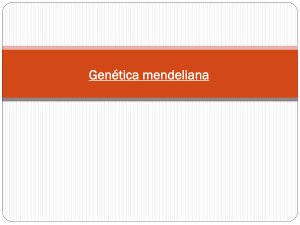 Tema 13. genética Mendeliana - IES Al