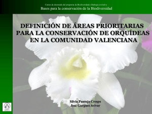 Orquídeas Silvestres de la Comunidad Valenciana