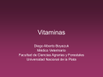 Vitaminas Archivo - Aula Virtual