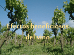 Efectos beneficiosos de el vino