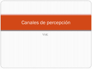 Canales de percepción - Instituto Mar de Cortes