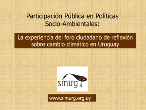 participaci&oacute;n ciudadana