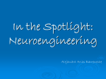 In the Spotlight: Neuroengineering