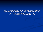vias metabolicas