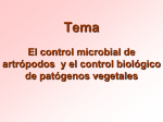 Bacillus thuringiensis - PTMS-VIPI
