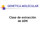 Diapositiva 1 - Genetica Molecular UNQ
