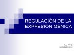 regulación de la expresión génica