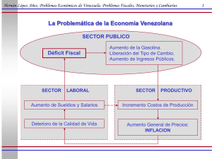 Resumen - I.I.E.S. ULA