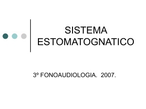 sistema estomatognatico