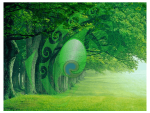 Diapositiva 1 - Proyecto Koha Colombia