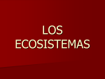 los ecosistemas - bioellawikiinma