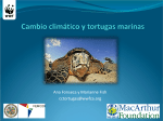 The Adaption to Climate Change Options for Marine Turtles