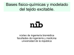 neuro_musc_2009 - Nucleo de Ingenieria Biomedica