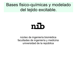 neuro_musc_2009 - Nucleo de Ingenieria Biomedica