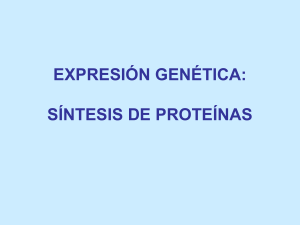 Síntesis de Proteínas